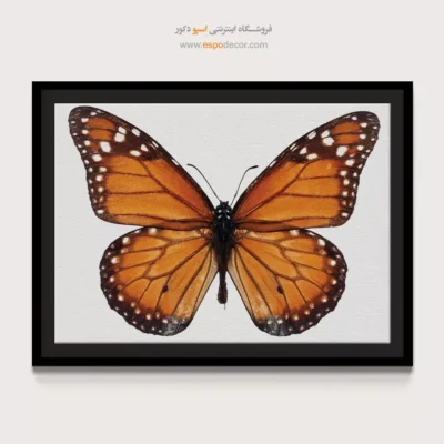تابلو پروانه - اسپو دکور