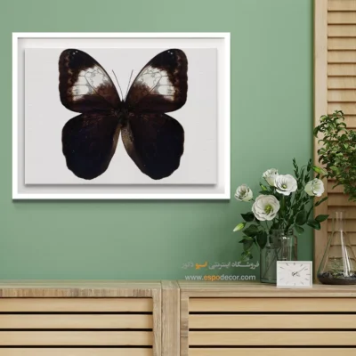 تابلو پروانه - اسپو دکور