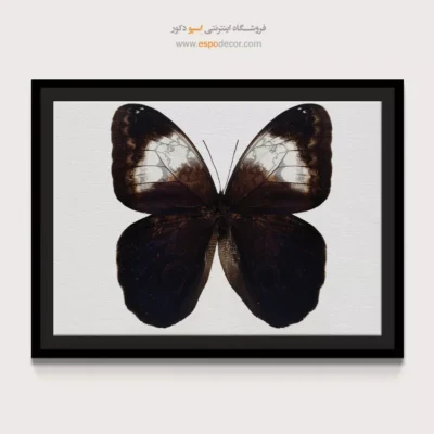تابلو پروانه - اسپو دکور