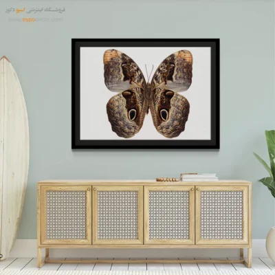 تابلو پروانه - اسپو دکور