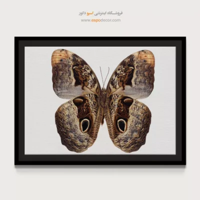 تابلو پروانه - اسپو دکور