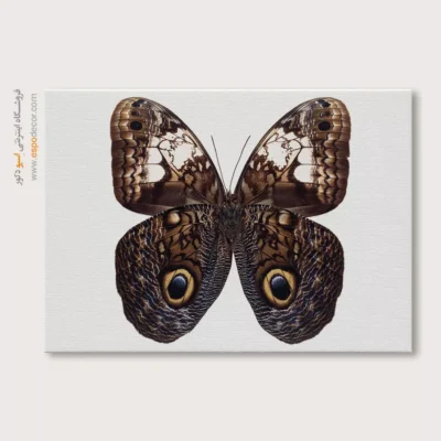 تابلو پروانه - اسپو دکور