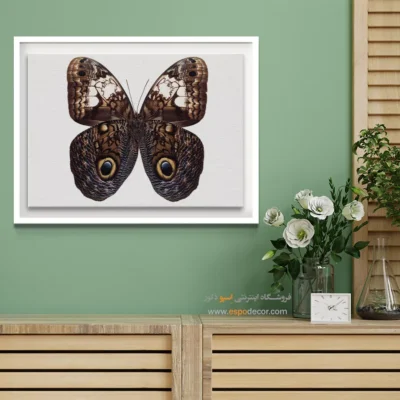 تابلو پروانه - اسپو دکور