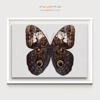 تابلو پروانه - اسپو دکور