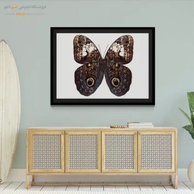 تابلو پروانه - اسپو دکور