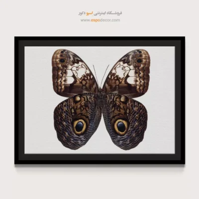 تابلو پروانه - اسپو دکور