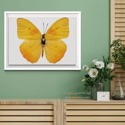 تابلو پروانه - اسپو دکور
