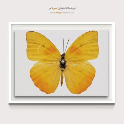 تابلو پروانه - اسپو دکور