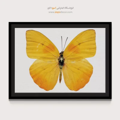 تابلو پروانه - اسپو دکور