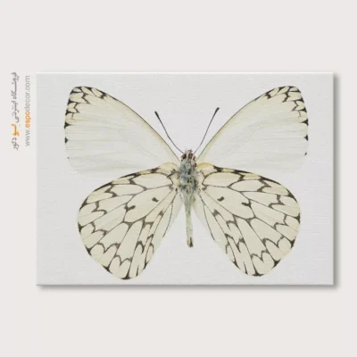 تابلو پروانه - اسپو دکور