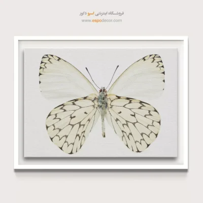 تابلو پروانه - اسپو دکور