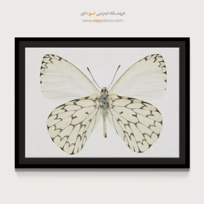 تابلو پروانه - اسپو دکور