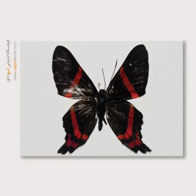 تابلو پروانه - اسپو دکور