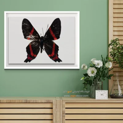 تابلو پروانه - اسپو دکور