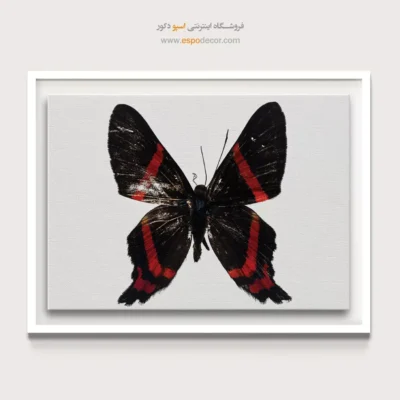 تابلو پروانه - اسپو دکور
