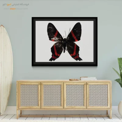 تابلو پروانه - اسپو دکور