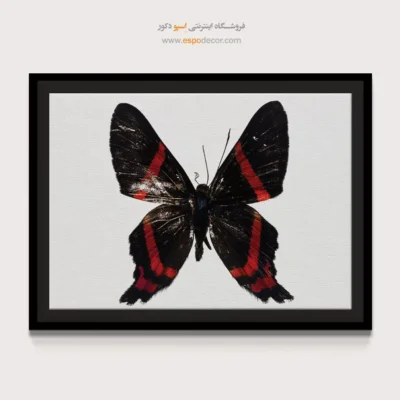 تابلو پروانه - اسپو دکور