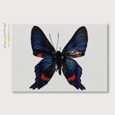 تابلو پروانه - اسپو دکور