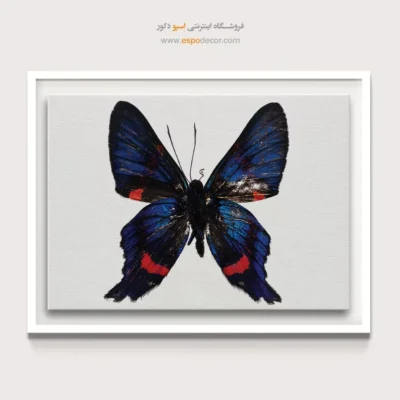تابلو پروانه - اسپو دکور