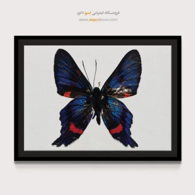 تابلو پروانه - اسپو دکور