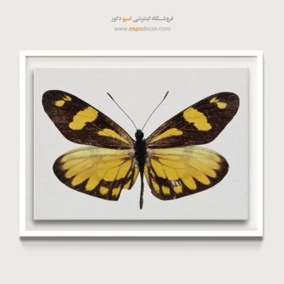 تابلو پروانه - اسپو دکور