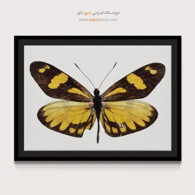 تابلو پروانه - اسپو دکور