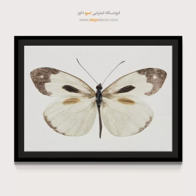 تابلو پروانه - اسپو دکور