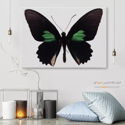 تابلو پروانه - اسپو دکور