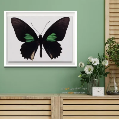 تابلو پروانه - اسپو دکور