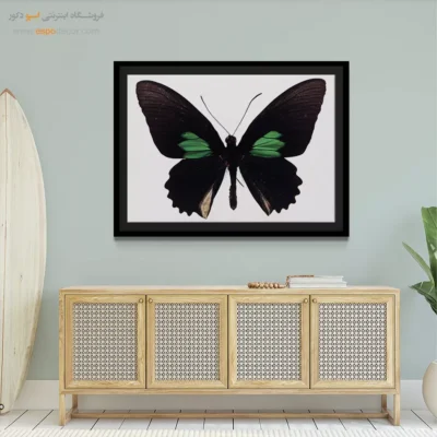 تابلو پروانه - اسپو دکور