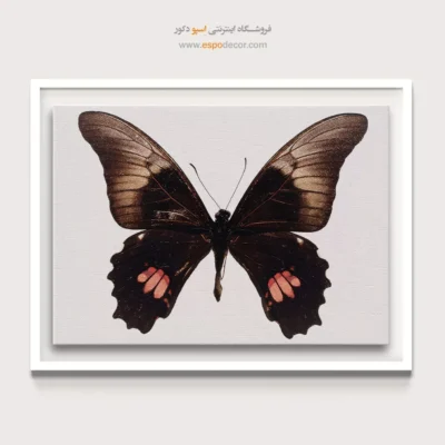 تابلو پروانه - اسپو دکور