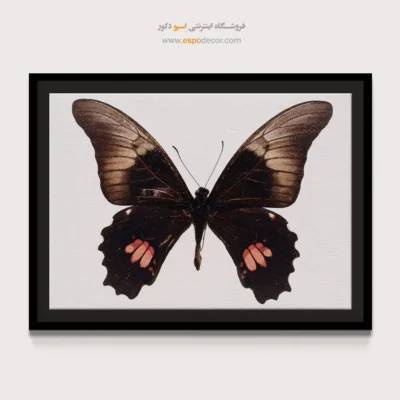 تابلو پروانه - اسپو دکور