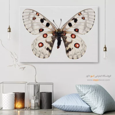 تابلو پروانه - اسپو دکور