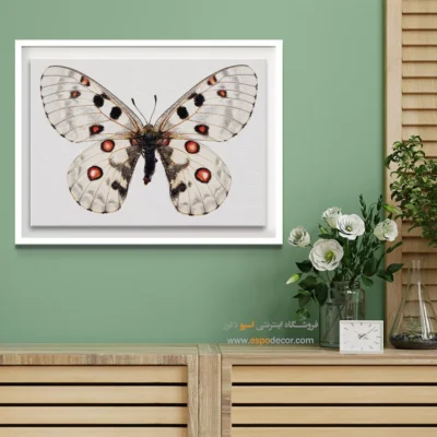 تابلو پروانه - اسپو دکور