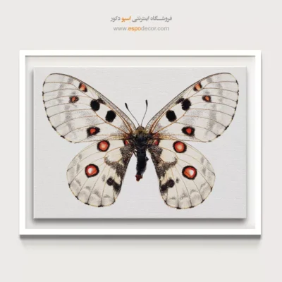 تابلو پروانه - اسپو دکور