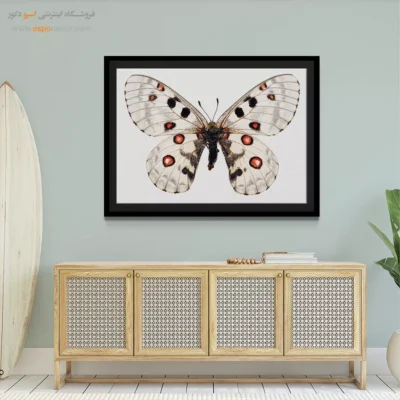 تابلو پروانه - اسپو دکور