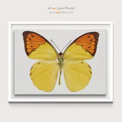 تابلو پروانه - اسپو دکور