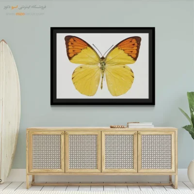 تابلو پروانه - اسپو دکور
