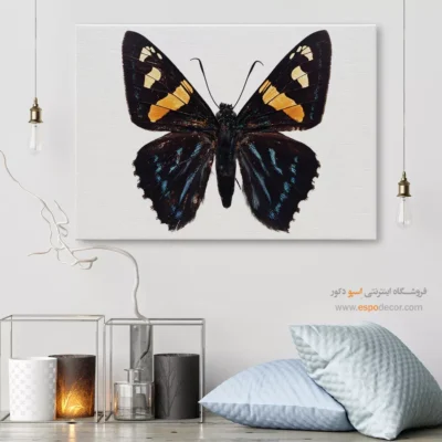 تابلو پروانه - اسپو دکور