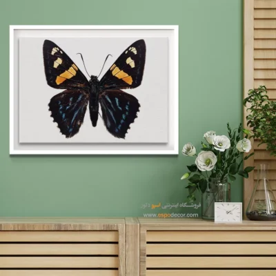 تابلو پروانه - اسپو دکور