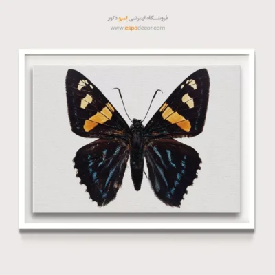 تابلو پروانه - اسپو دکور