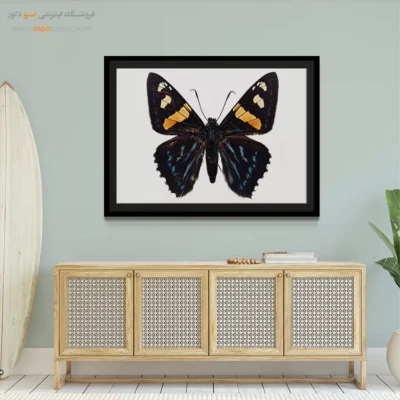 تابلو پروانه - اسپو دکور