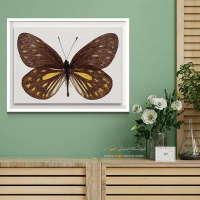 تابلو پروانه - اسپو دکور