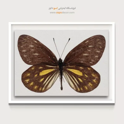 تابلو پروانه - اسپو دکور