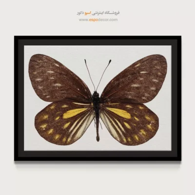 تابلو پروانه - اسپو دکور