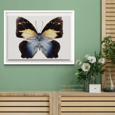 تابلو پروانه - اسپو دکور