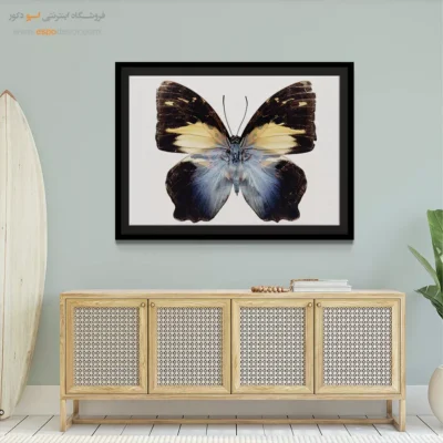 تابلو پروانه - اسپو دکور