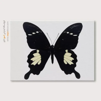 تابلو پروانه - اسپو دکور