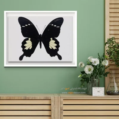 تابلو پروانه - اسپو دکور