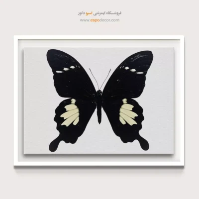 تابلو پروانه - اسپو دکور